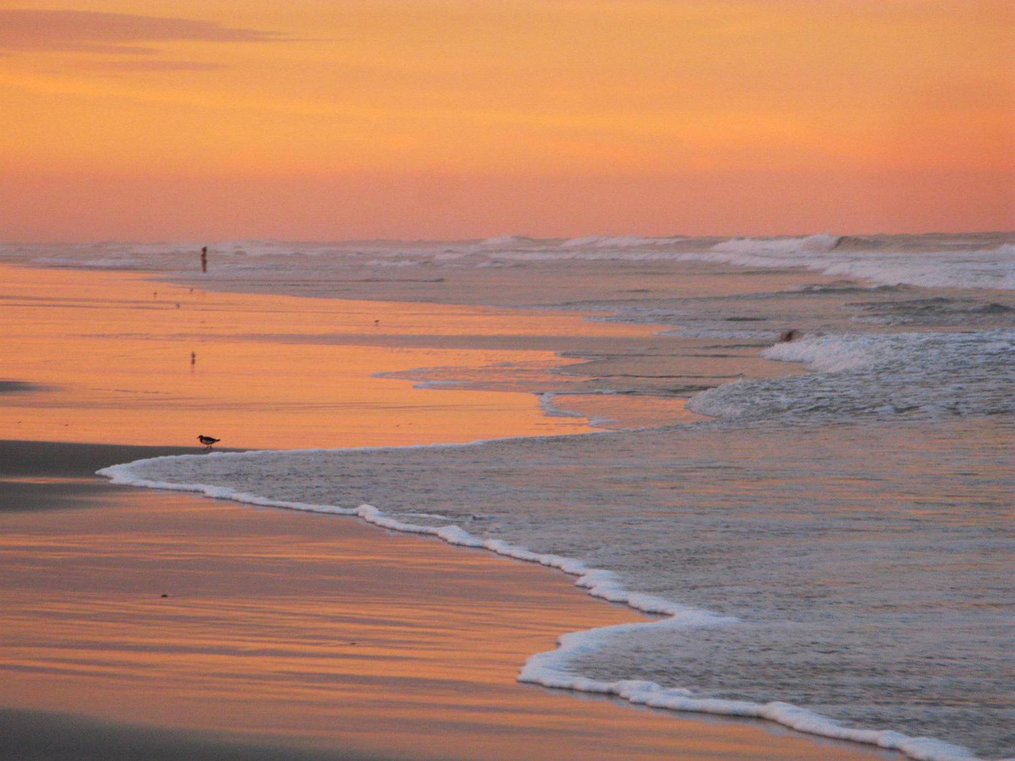 Guy Harvey Resort On Saint Augustine Beach Exterior foto